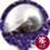Aspen Royal Purple displaying a decorated nautilus shell